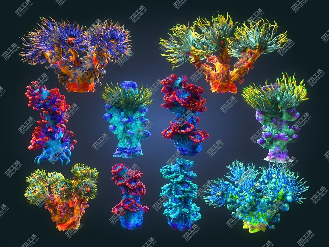 images/goods_img/2021040163/3D Animated Plants Ocean - Alien  Pack 10/3.jpg